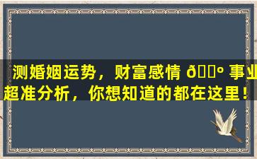 测婚姻运势，财富感情 🐺 事业超准分析，你想知道的都在这里！